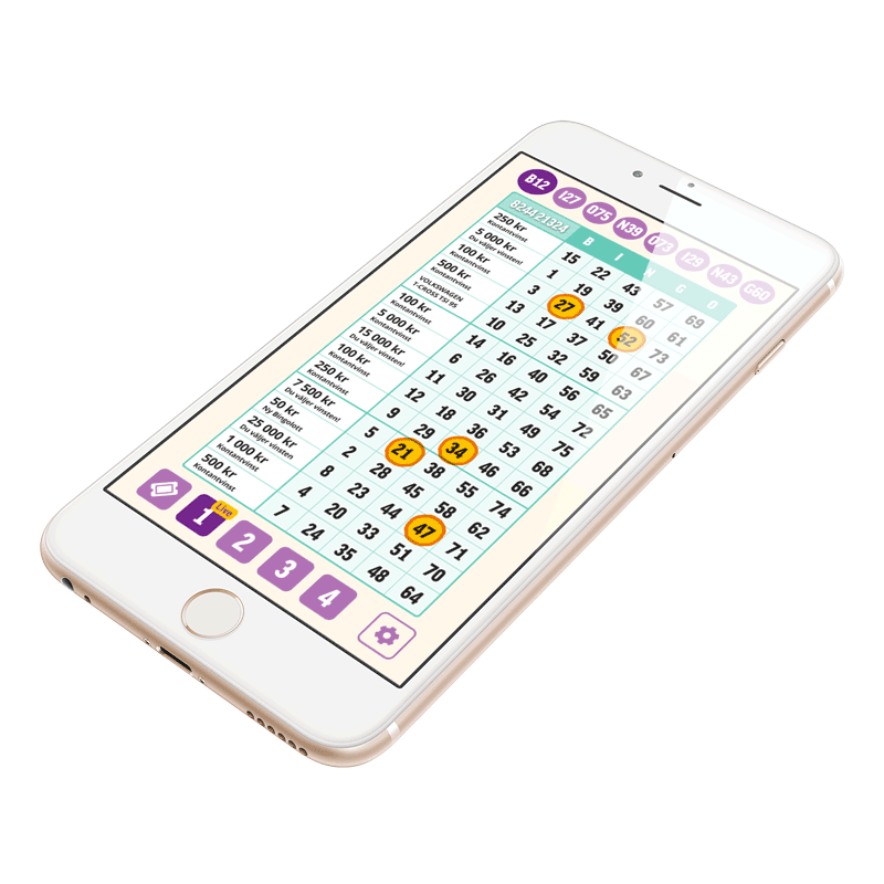 Köp digital bingolott på bingolotto.se