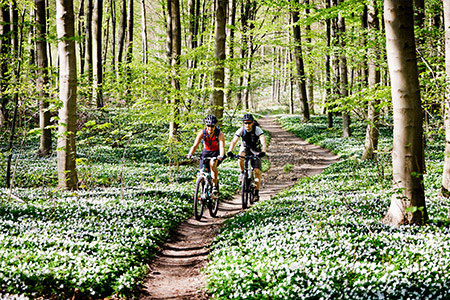 Mountainbike som träningsresa