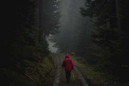 En person som promenerar i en regnig skog