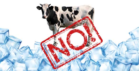 Illustration av ordspråket "Ingen ko på isen"