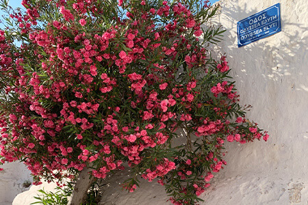 Grekland vacker natur semester efter corona BingoLotto