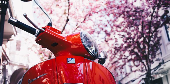 Bild på röd scootermoped bland körsbärsblommor