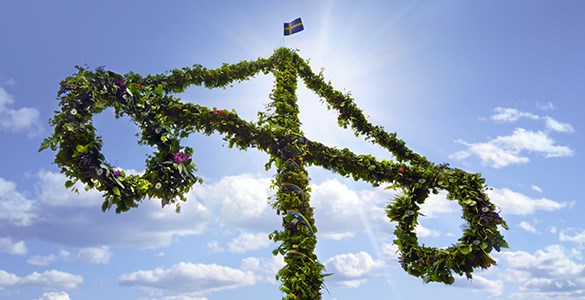 Midsommarstång i solen