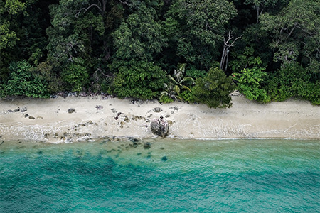 Skog och strand på en av Malaysias tropiska öar