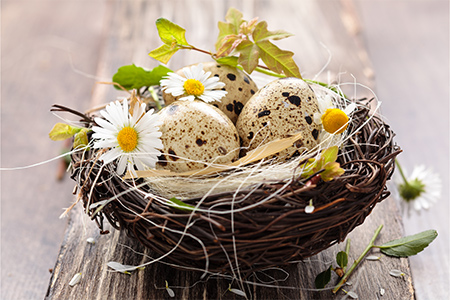 Konstgjort fågelbo med ägg och blommor som påskdekoration 