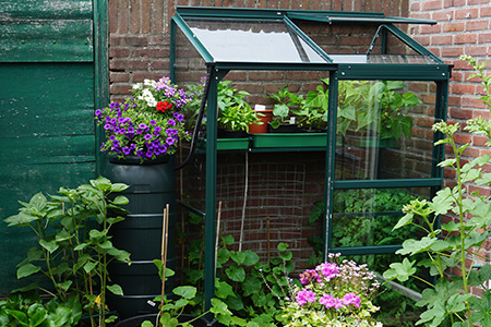 Litet grönt växthus på balkong med växter och blommor