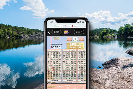 spela-bingo-online-hela-sommaren-variantbingo-bingolotto-450x300.jpg