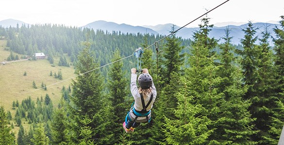 Ziplinebana över skog