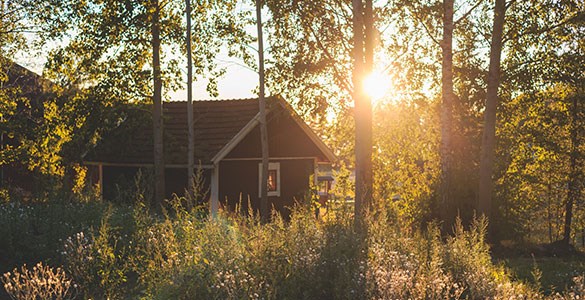 En liten stuga i en skogsdunge i solnedgångsljus