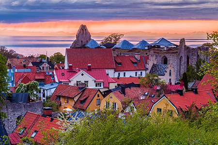 Takåsar i Visby med rosa himmel i bakgrunden