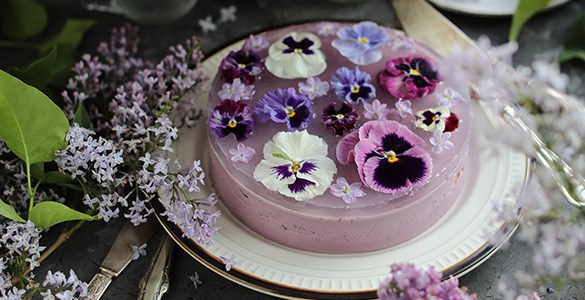 En lila tårta dekorerad med blommor på ett bord omgiven av syrenblommor