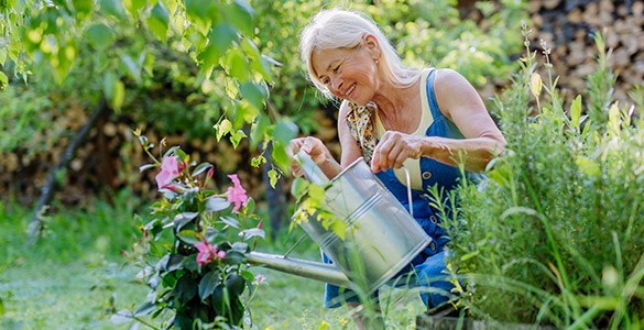 En äldre dam vattnar en växt med en vattenkanna i plåt
