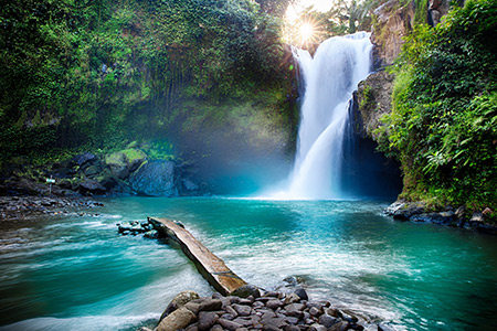 Ett litet vattenfall i en tropisk skog