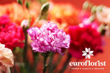 BingoLottos samarbetspartner Euroflorist