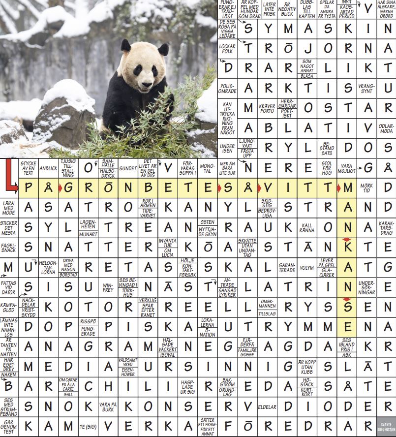 Krysslösning med bild på panda