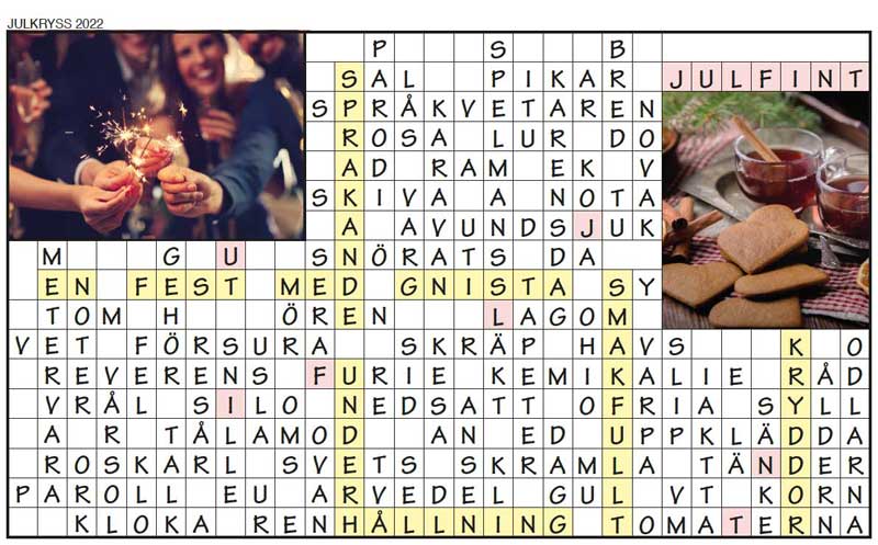 Lösning på julkrysset i bingomagasinet